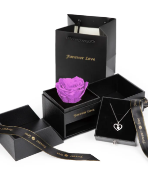 Forever Rose & Necklace Gift Set - Image 4